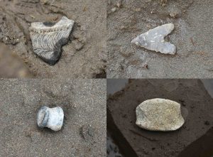 縄文時代前期の土器と石器