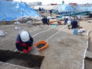 遺構の掘削作業を行っている様子です。