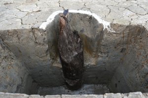 奈良から平安時代の柱穴に残る柱根