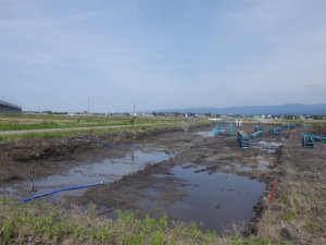 じゅうきによるひょうどくっさくさぎうょうご