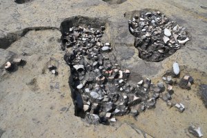 弥生時代後期の土器が大量に出土した土坑